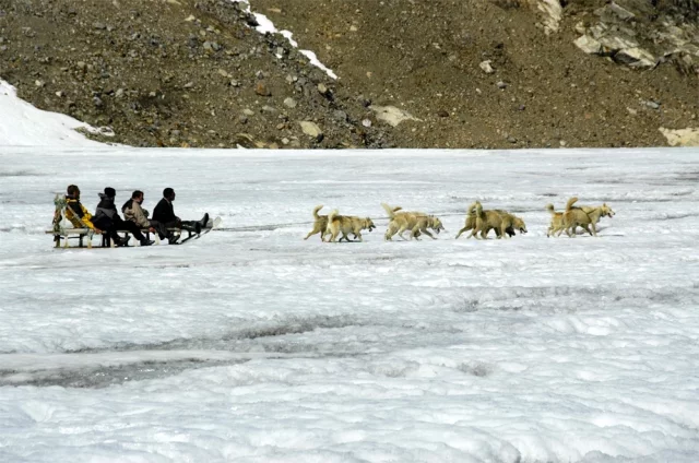 В своих рейдах члены «Сириуса» преодолевают тысячи километров по ледяной пустыне, полагаясь исключительно на собственные навыки выживания.