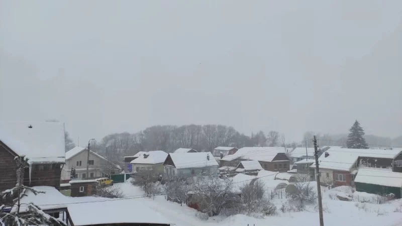 Нижнее Криволучье.