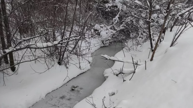 Щегловский ручей.