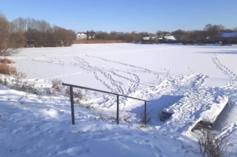 Грка на пруду в Оскочном.