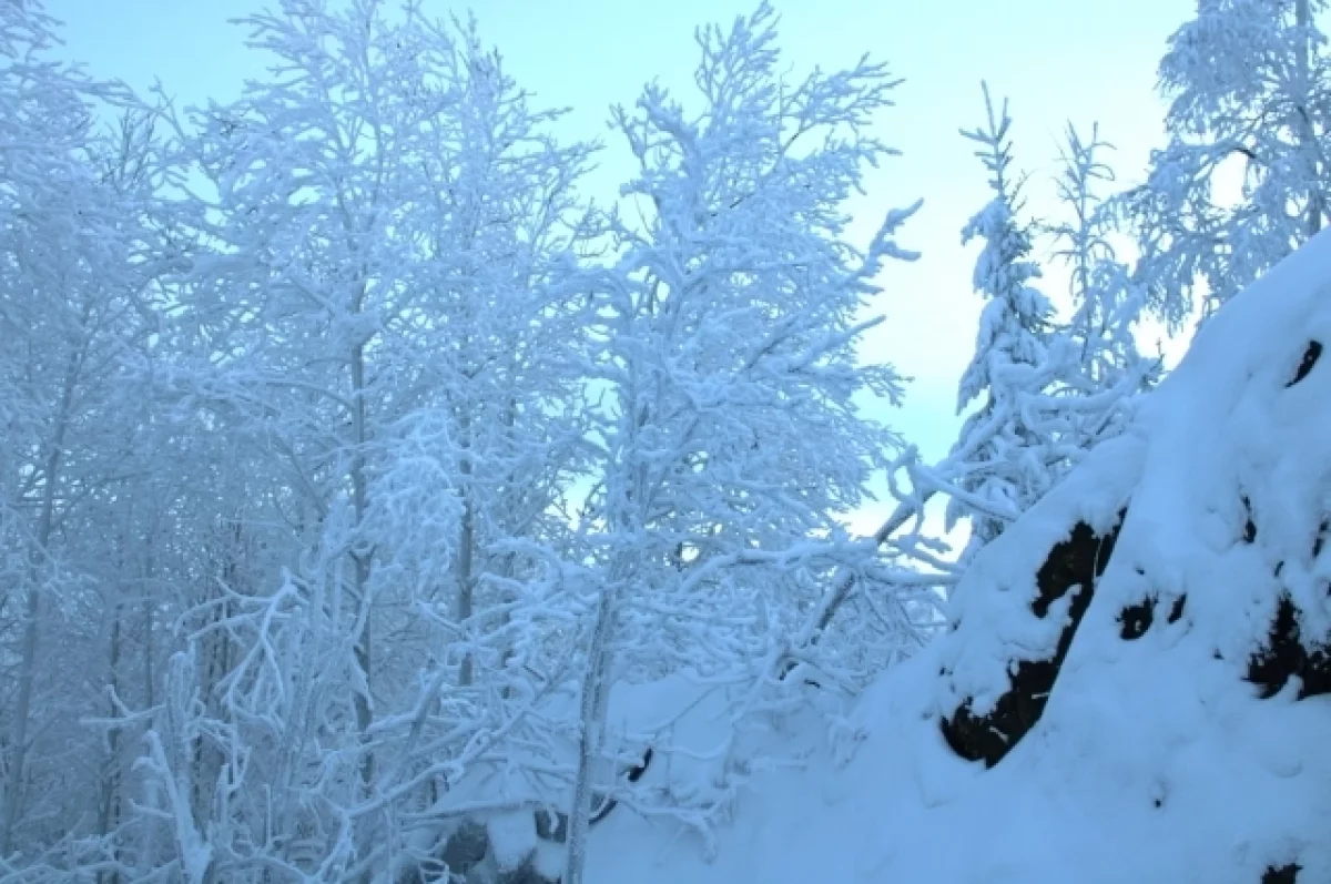 В Брянской области ночью 19 января ждут до -25ºC