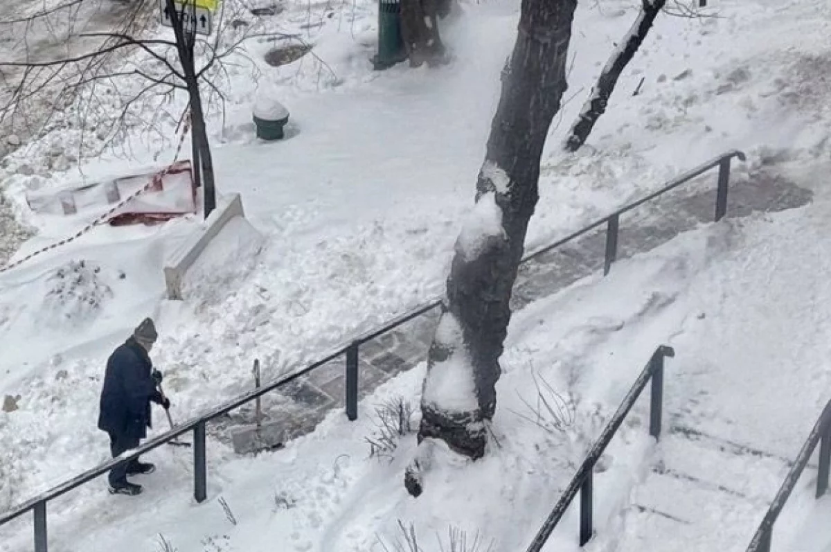 Режиссер Ежика в тумане Юрий Норштейн убрал снег возле дома