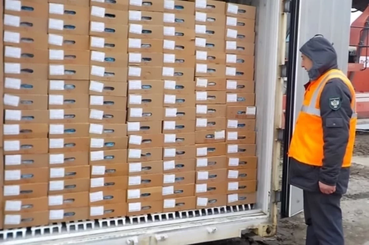 Брянщина в 2025 году экспортировала 80 000 тонн животноводческой продукции