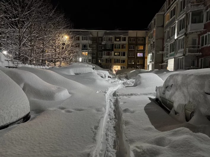 Тропинка во дворе. 
