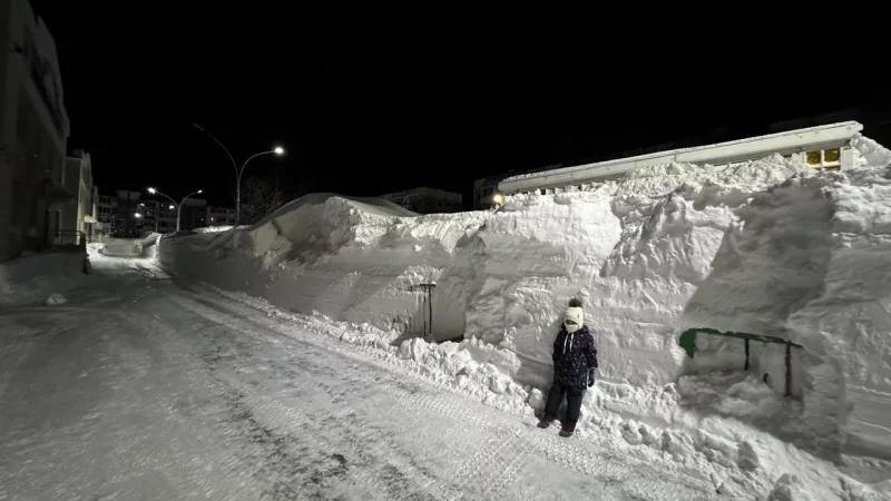 Детям - раздолье!