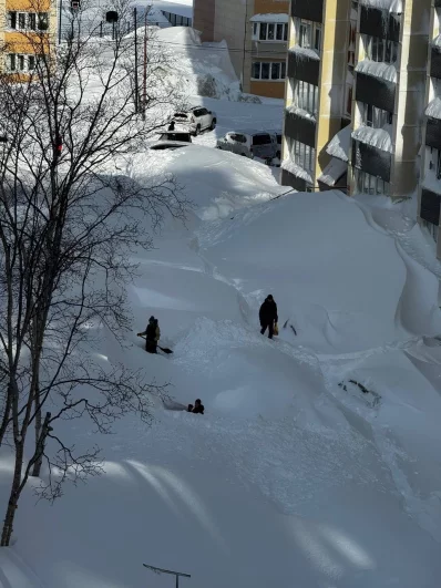 Состояние дворов после циклона. 