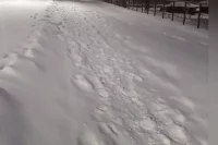 Бывший руководитель организации из Соль-Илецка обвиняется в хищении более 3 млн рублей при выполнении работ по зимнему содержанию дорог.