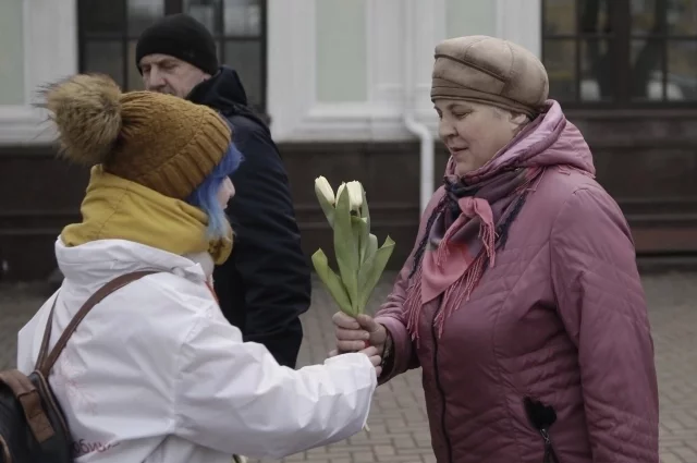 Тюльпан до сих пор остается главным цветком главного весеннего праздника