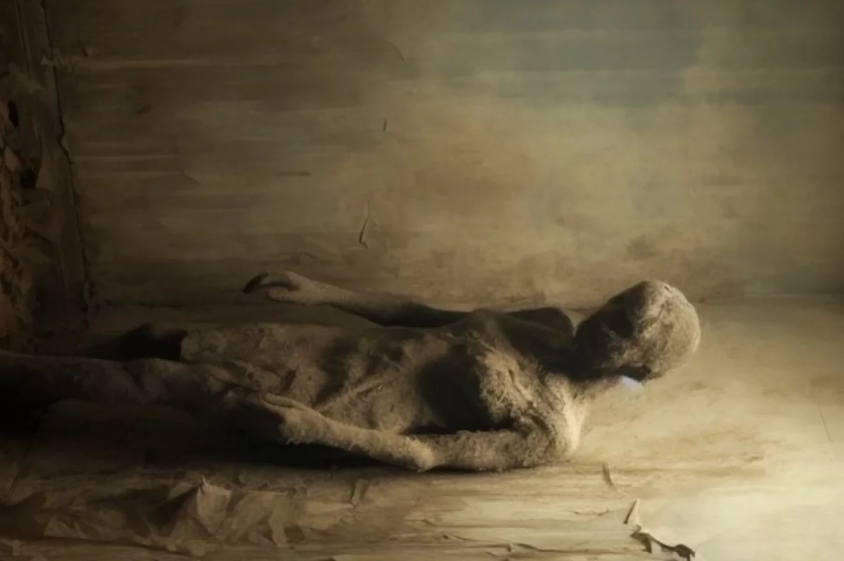 Ученые изучили 5500-летний скелет и выяснили, откуда пришел сифилис