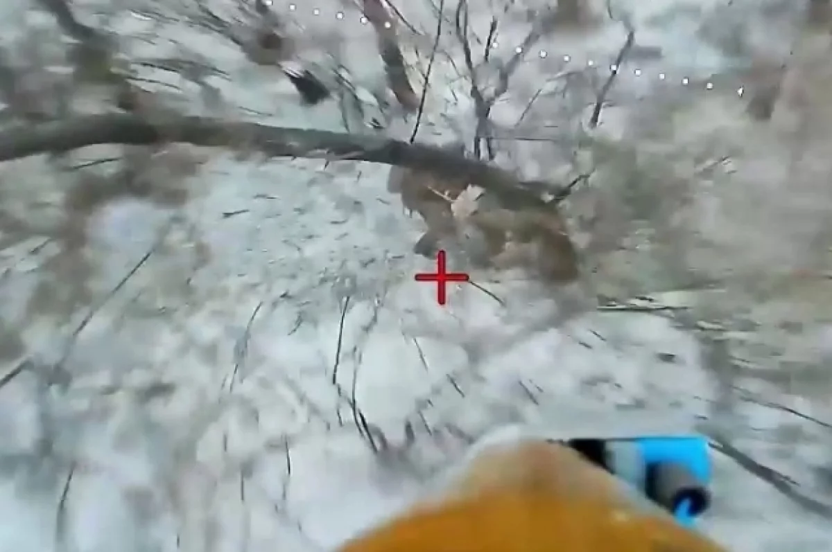 ВСУ потеряли до отделения пехоты под Степногорском из-за атаки БПЛА