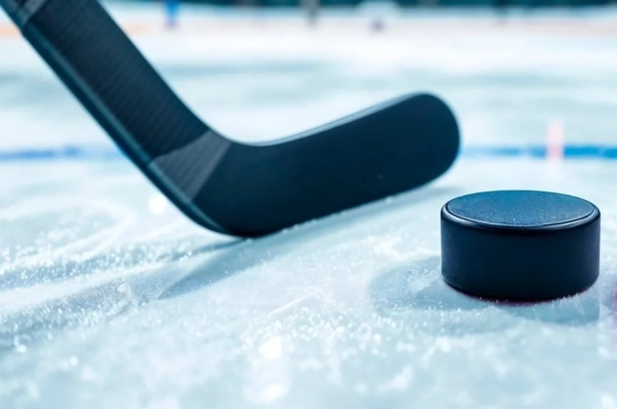 Следующую встречу «Ак Барс» проведет с «Салаватом Юлаевым».