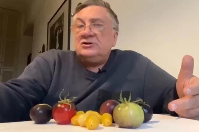 Второй сорт, который оказался устойчивым к фитофторе, - Китайский фонарик.