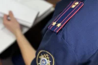  Бузулуке перед судом предстанет иностранный гражданин за грабеж, совершенный в отношении несовершеннолетней. 