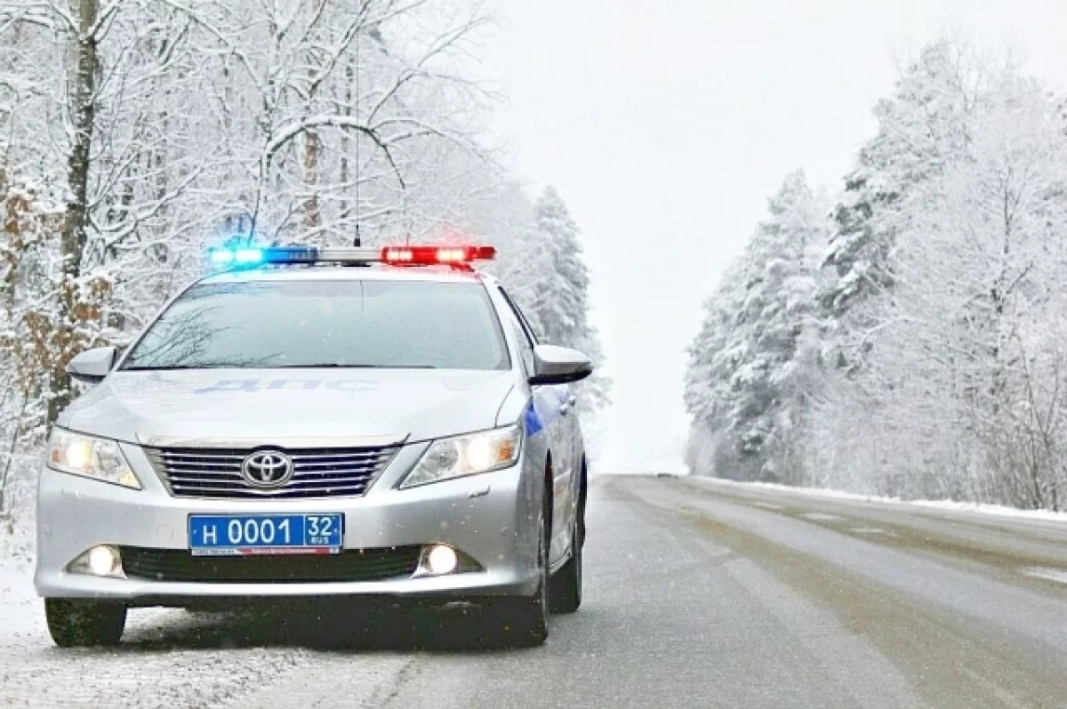 В Брянске за неделю привлекли к ответственности 497 водителей и пешеходов