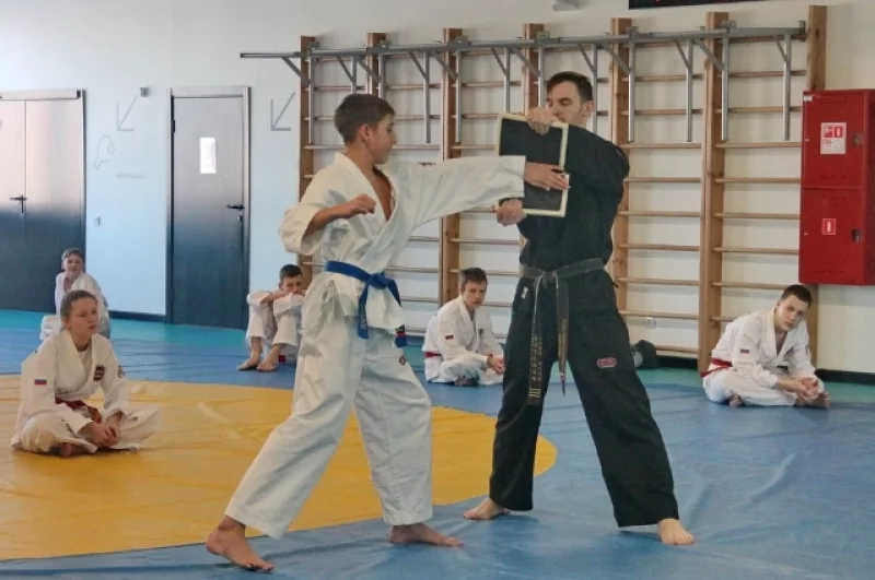 Разбить доску ударом руки может не каждый