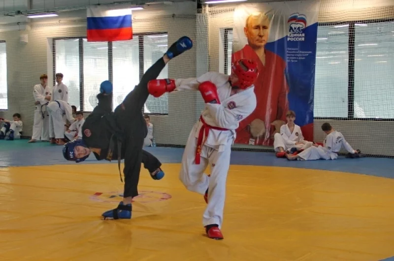 Аттестацию на пояса провела федерация тхэквондо ЕАО