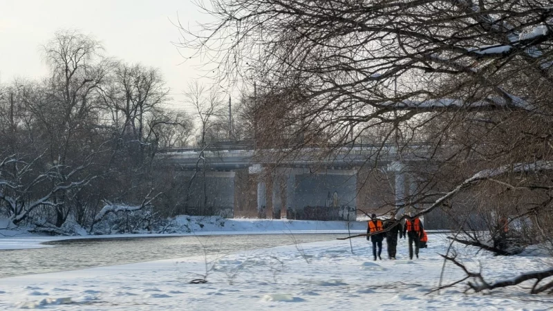 Профессиональные спасатели взаимодействуют с добровольцами.