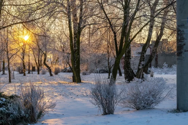 По приметам, если вечером было ясно, март обещал быть солнечным.
