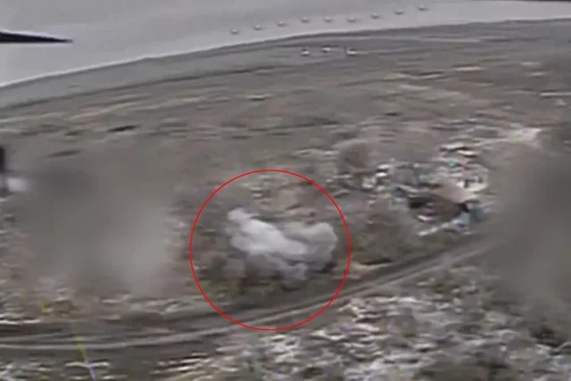 Бои на добропольском направлении идут ожесточенные и с большими потерями для ВСУ.