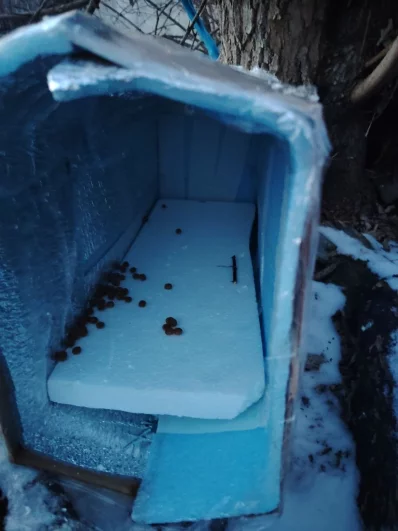 Временное укрытие Боси.