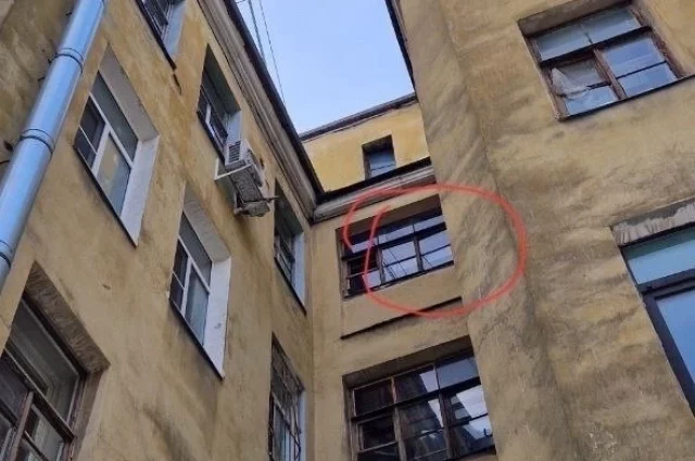 В окне на четвёртом этаже неделями горел свет и отчаянно мяукала кошка...