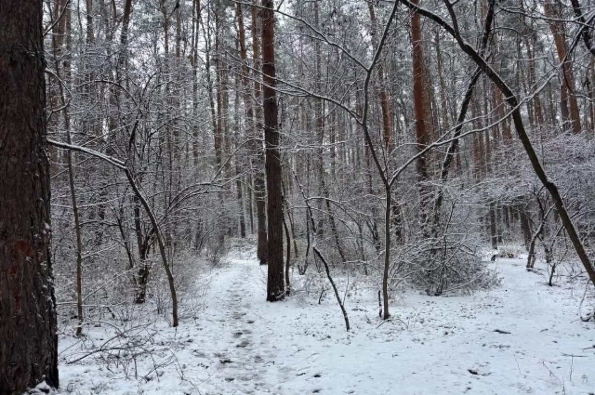 15,6 млн рублей заплатит администрация Прионежского района за ущерб почве