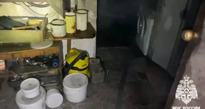 В пожаре погибли подростки возрастом от 14 до 16 лет. 