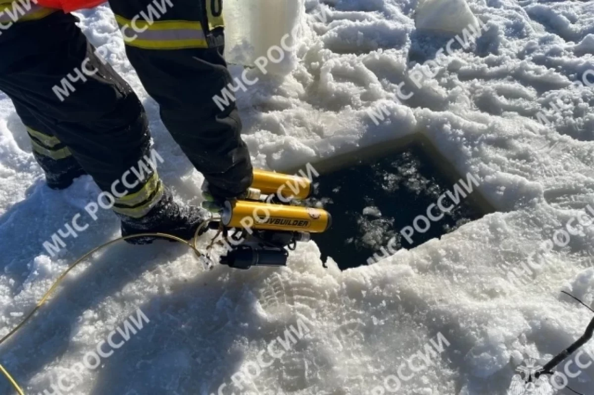 За 12-й день поисков утонувших в Брянске детей обследовали 2,4 га акватории