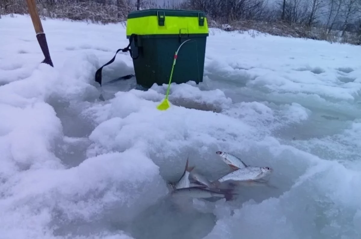 60 команд рыбаков соревновались в Беломорском округе в мороз