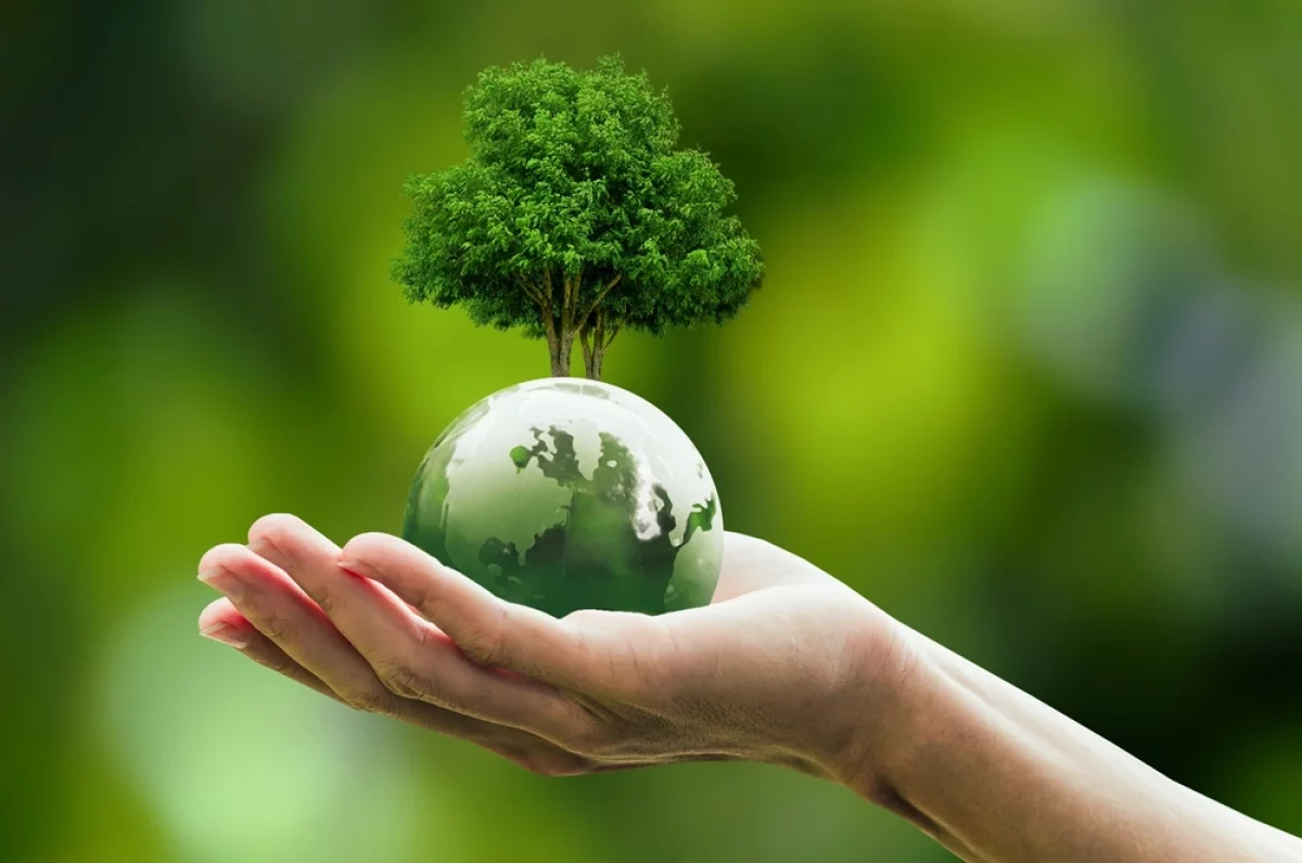 С детства  в гармонии с природой. В России проходит олимпиада по экологии