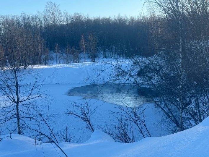 По данным СК, тело находилось на небольшой глубине.