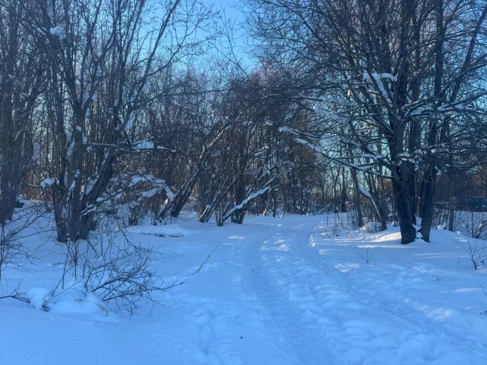 Здесь преступник ехал к водоёму, чтобы утопить тело.