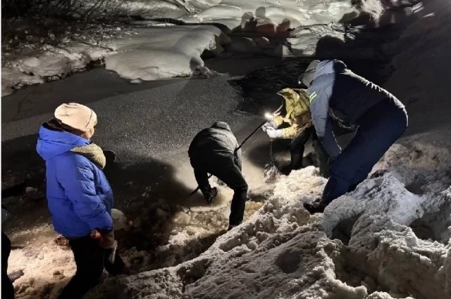 Тело ребенка нашли в полынье у Нижнего Шингерского водопада ночью на 3 февраля. 