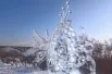 Фигуры из снега можно увидеть на Театральной площади, а ледовые композиции — на Центральной набережной.