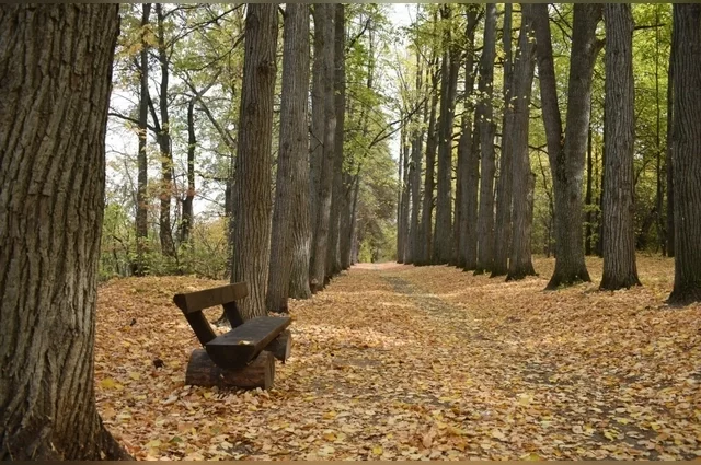 В августе 2024 года территория бывшей дворянской усадьбы была официально включена в реестр объектов культурного наследия регионального значения как «Парк усадьбы Нарышкиных—Паулуччи».