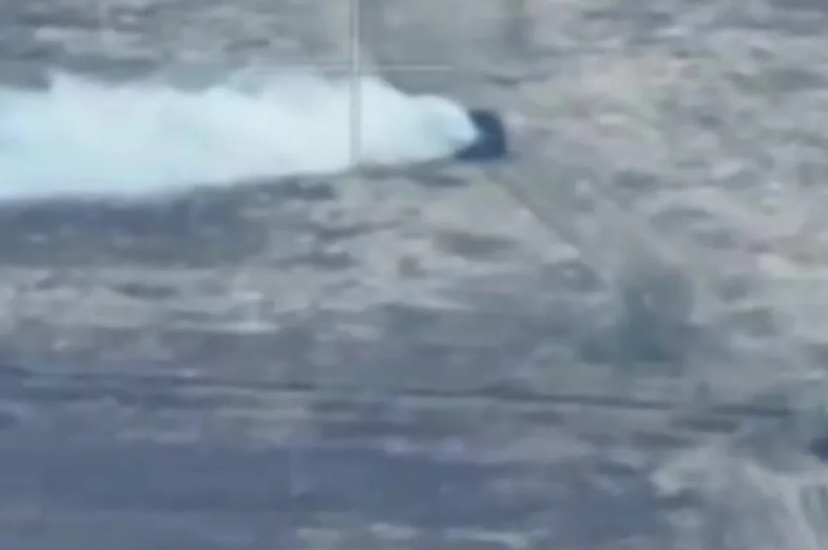 Бойцы РФ заехали в Гришино под Красноармейском на трофейных БТР ВСУ