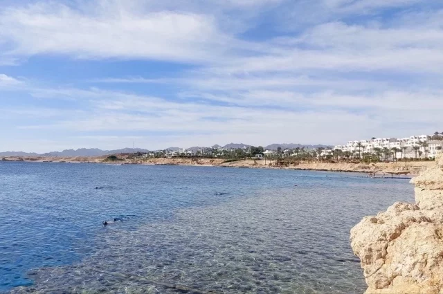 Уже третью неделю тело и личные вещи 69-летней Татьяны остаются в египетской больнице. 