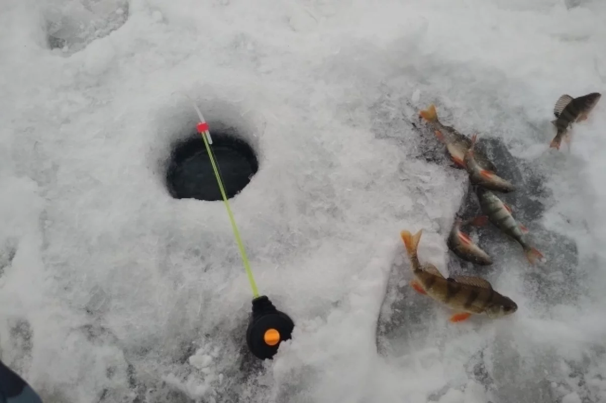 Рыбака нашли замерзшим на льду Сахалина во время метели