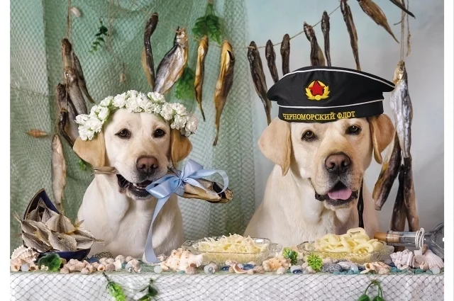 Елена Баврина сама придумывает, продюсирует и организует съёмки 