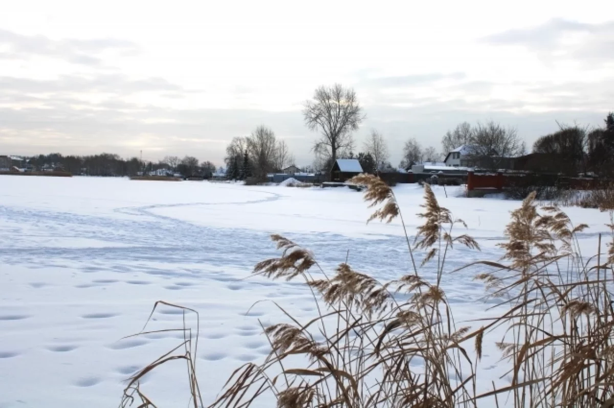 Ощутимое потепление: какая погода будет в Хабаровском крае 9 февраля