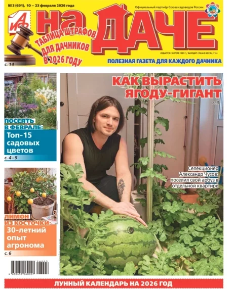 Свежий номер