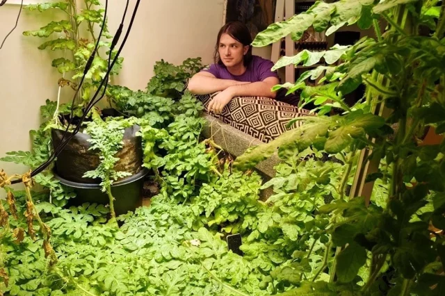 В конце прошлого года селекционер решил устроить необычный эксперимент — вырастить гигантский арбуз в домашних условиях.