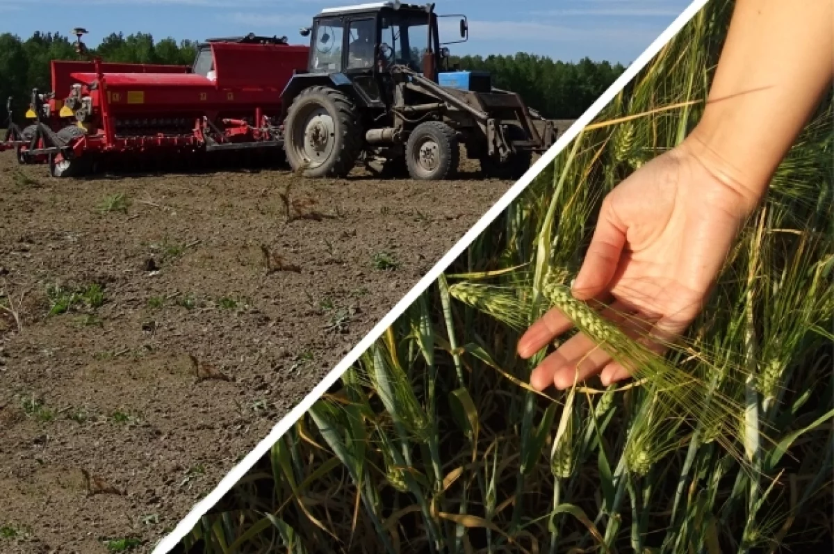 Сельское хозяйство в Марий Эл - в числе худших по темпам прироста в ПФО