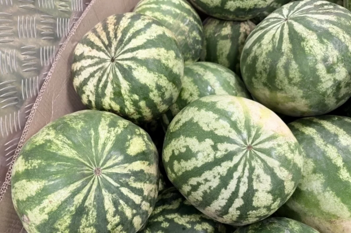 Житель Алтая грозил продавцу фруктов бензопилой из-за арбуза