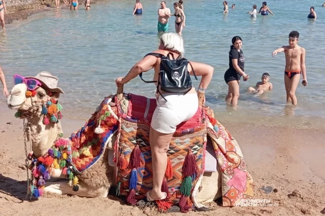 В Египте по-прежнему фотографируют и катают на верблюдах за деньги, но теперь берут их не за то, чтоб помочь спуститься с животного, а сразу