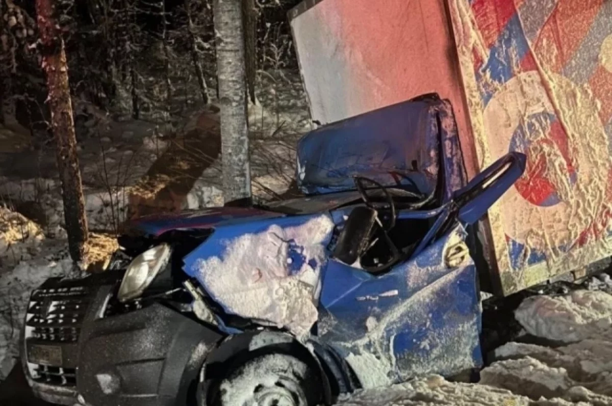 В Карелии 27-летний водитель уснул за рулём и погиб в ДТП