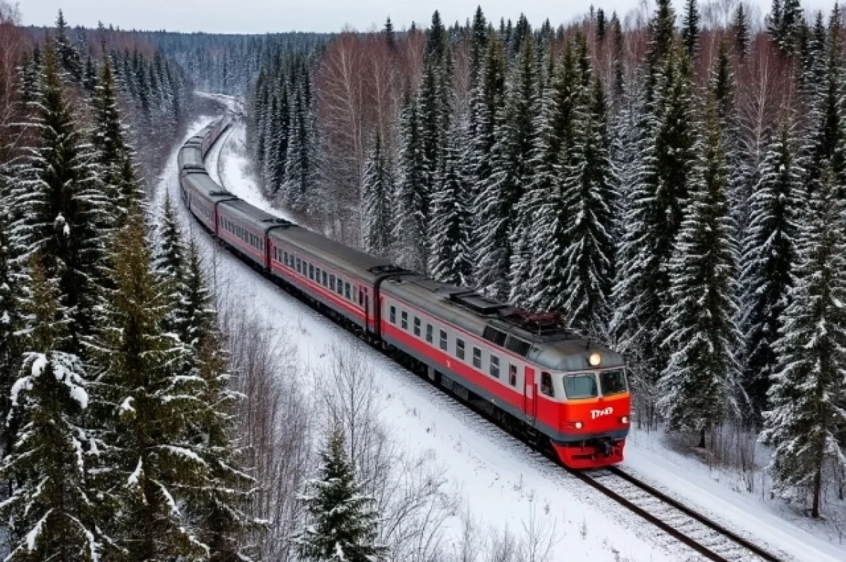 После крушения вагонов поезда запустили реверсом в Хабаровском крае