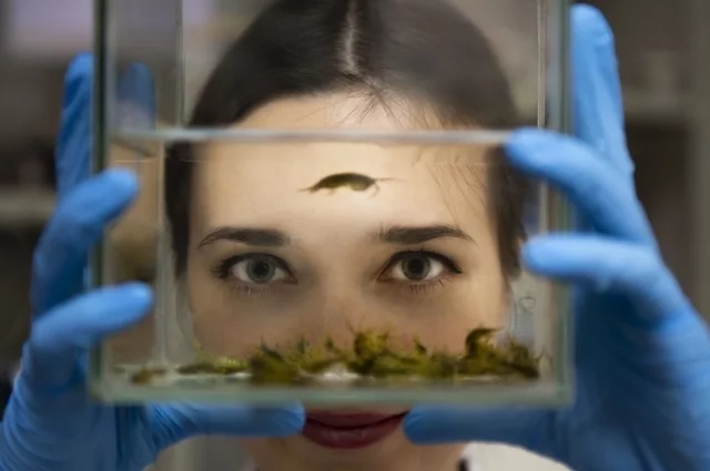 Снимок Ксении Верещагиной «Сквозь призму древних эндемиков»