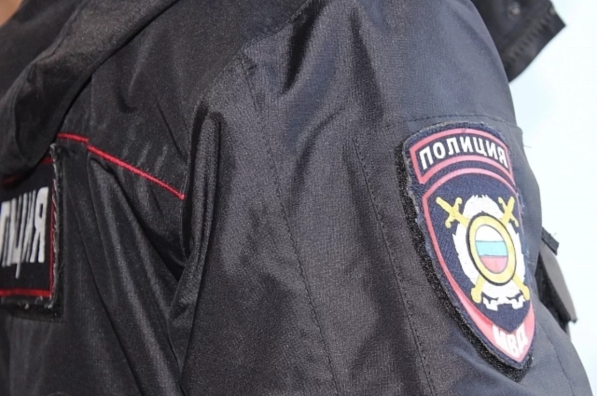 Полиция Петрозаводска заинтересовалась дракой на улице Мерецкова