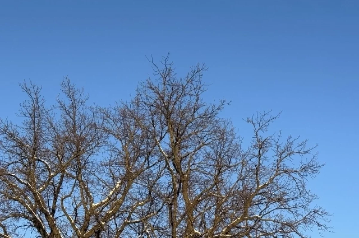 В Петрозаводске простились с замдиректора лицея №1 Габучевой